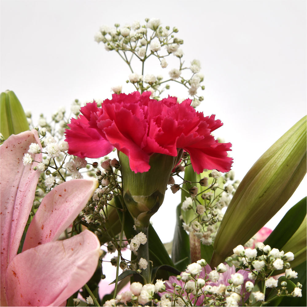 Cherry Bouquet FlowersA truly fabulous selection of flowers, including Oriental Lilies, Pink Gypsophila. Finished with a complementary ribbon, this hand-tied bouquet will create a stunning gift for any special occasion. This popular bouquet is superb valu