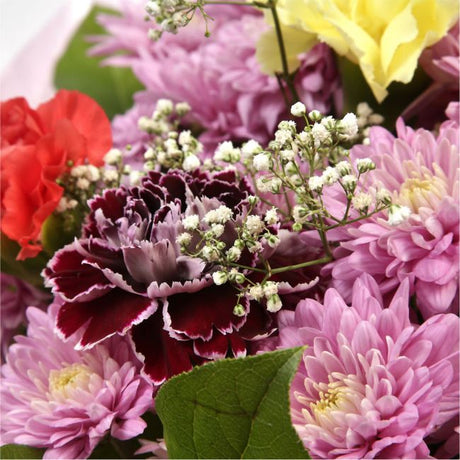 Confetti Special Bouquet FlowersThis bouquet of flowers is a sweet selection in shades of Pink, this bouquet is full of pretty pastel shades of spray and long stemmed carnations, gypsophilia and pink chrysanthemums. It's absolutely perfect. Beautifully wr
