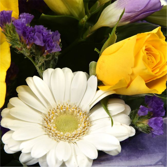 Delightful Flowers BouquetA Delightful Bouquet filled with flowers in Yellow and Purple shades. Including large-headed Roses, Lilies, Carnations, Freesias, a modern yet truly enchanting gift. Beautifully wrapped and tied with ribbon before being delivered