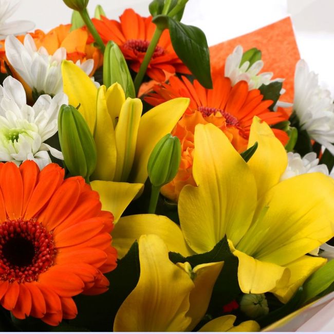 Orange Burst BouquetOrange Burst Bouquet, This lovely selection of flowers is the perfect gift for any occasion. Orange Germini, Orange Roses & Yellow Lillies with White Spray flowers and other assorted flowers are beautifully presented. Beautifully wrapp