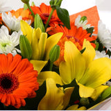 Orange Burst BouquetOrange Burst Bouquet, This lovely selection of flowers is the perfect gift for any occasion. Orange Germini, Orange Roses & Yellow Lillies with White Spray flowers and other assorted flowers are beautifully presented. Beautifully wrapp