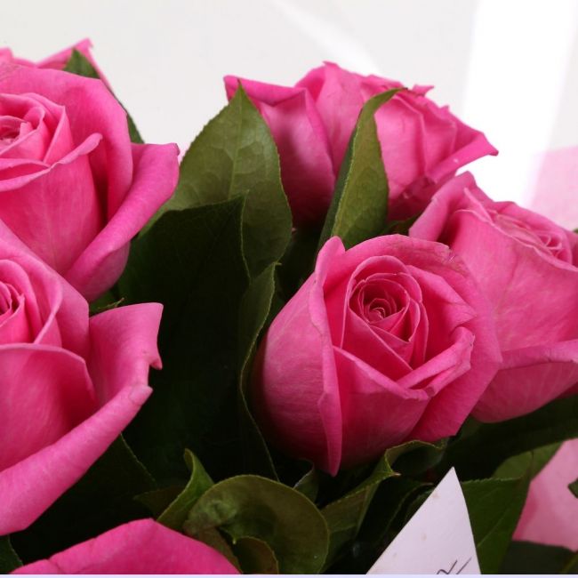 12 Pink Roses Bouquet12 Pink Roses. Expertly created by our florists, ready to display immediately. Beautifully wrapped and tied with ribbon before being delivered.£14.99