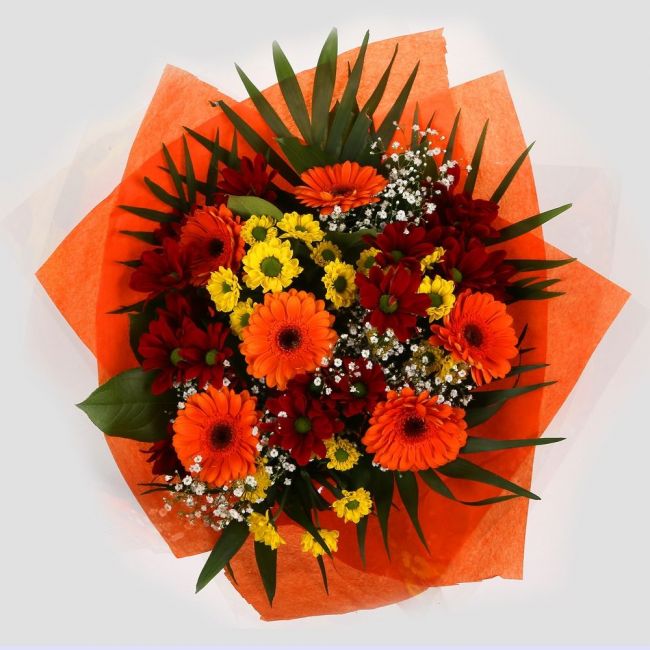 Red Fall BouquetStunning Bright Red Fall Bouquet, Gerberas with Yellow & Red Santini Flowers Chico leaves with foliage, wrapped with matching ribbon. Beautifully wrapped and tied with ribbon before being delivered.£14.99