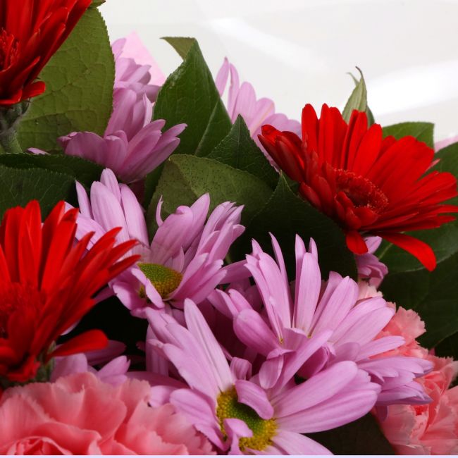 Birthday Balloon & Pink Mystique FlowersBirthday Balloon & Pink Mystique Bouquet, Whatever the occasion, this individually designed bouquet bursting with a selection of long lasting flowers with Bloom Vibrant Carnations & Germin and Pink Chrysanthemums. M