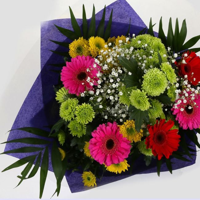 Elegance Flowers BouquetElegance Bouquet, Surprise a loved one with this gorgeous display of Germini Flowers, eye catching Daisies, Gypsophila & Chrysanthemums, with Foliage.£14.99