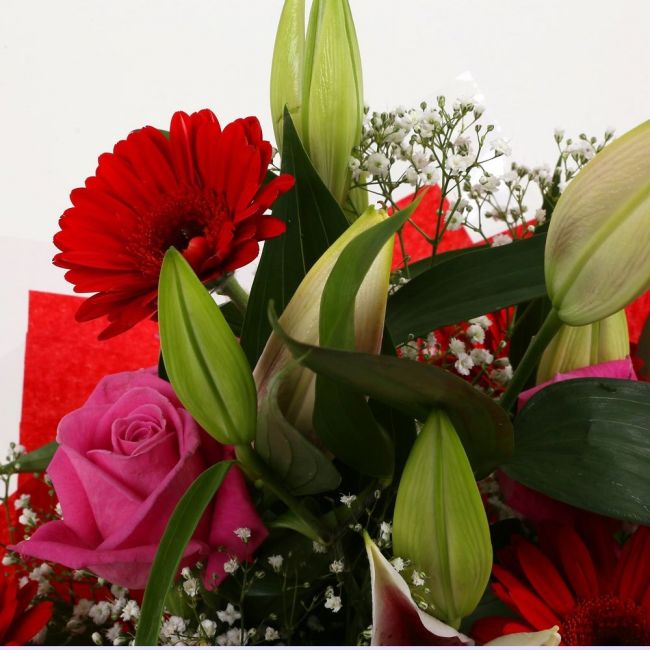 Pink Oriental BouquetPink Oriental Bouquet, Pink Roses, Oriental Lilies, Gypsophila with Red Germini and Palm foliage are expertly arranged to create this dramatic design. This stunning gift is the ultimate gift to create an impression.£14.99