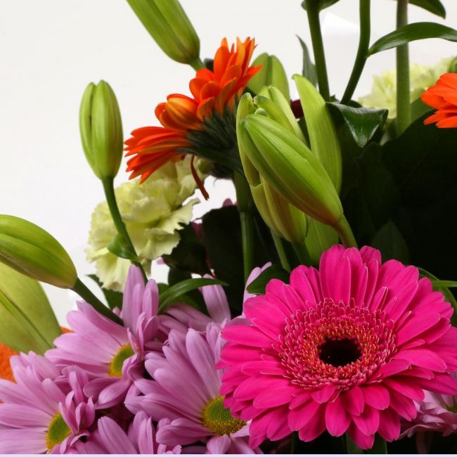 Colour Burst Flowers BouquetColour Burst Bouquet, Surprise a loved one with this gorgeous display of vibrant flowers, eye catching daisies, Yellow Lillies & Chrysanthemums, and Mint green Carnations.£14.99