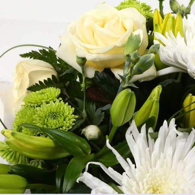 Golden Cream Flowers BouquetGolden Cream Bouquet, This lovely selection of flowers is the perfect gift for any occasion. White Boom chrysanthemums, White Cream Roses & Yellow Lillies with Shamrock flowers and assorted foliage are beautifully presented. Be