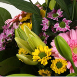 Florist Meadow Flowers BouquetFlorist Meadow Bouquet, this Bouquet contains Pink Germini, White Lillies, Pink & Yellow Santini Chrysanthemums, Beautifully wrapped and tied with ribbon before being delivered.£14.99