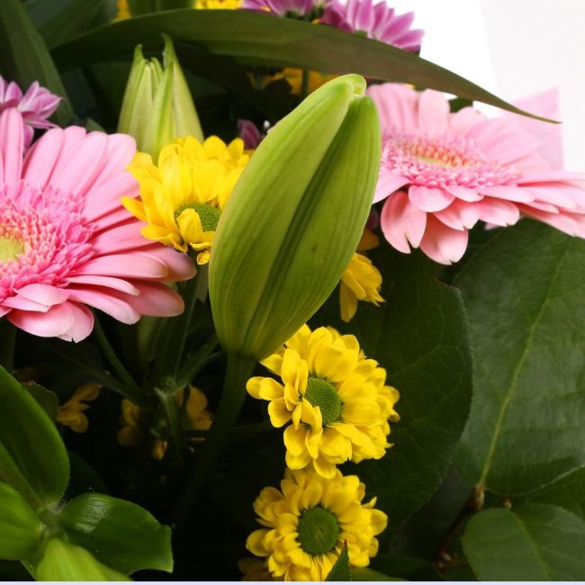 Florist Meadow Flowers BouquetFlorist Meadow Bouquet, this Bouquet contains Pink Germini, White Lillies, Pink & Yellow Santini Chrysanthemums, Beautifully wrapped and tied with ribbon before being delivered.£14.99