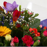 Fragrant Star Flowers BouquetFragrant Star Bouquet, This bouquet of flowers is a sweet selection , this bouquet is full of pretty pastel shades of spray and long stemmed carnations, gypsophilia, gerberas and Freesias. It's absolutely perfect. Beautifully