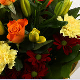 Happy Birthday Balloon & Redsunshine FlowersHappy Birthday Balloon & Beautiful Red Sunshine Orange Bouquet, Roses and Lillies with foliage, wrapped with matching ribbon. Beautifully wrapped and tied with ribbon before being delivered.£19.99