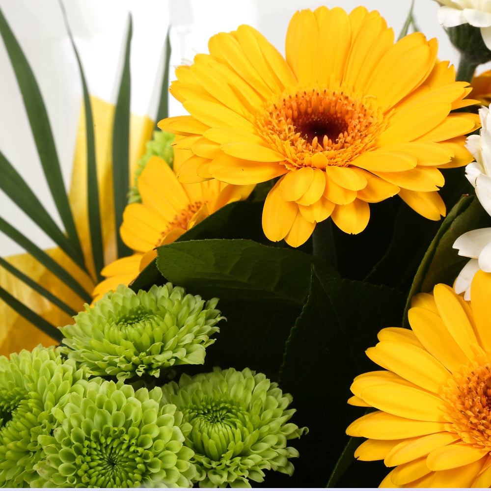 Birthday Balloon & Yellow Cream FlowersBirthday Balloon & Yellow Cream Bouquet mix of Chrysanthemum flowers in along with Yellow and White Germini all interspersed with delicate palm leaves. Beautifully wrapped and tied with ribbon before being delivered.