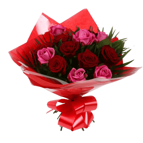 12 Blush Roses Pink & Red & Roses BouquetBlush Roses Bouquet, 12 Roses, in pretty Pink and in Red, is a classic choice, ready to be displayed instantly. Beautifully wrapped and tied with ribbon.£14.99