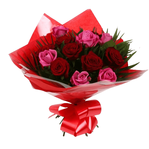 12 Blush Roses Pink & Red & Roses BouquetBlush Roses Bouquet, 12 Roses, in pretty Pink and in Red, is a classic choice, ready to be displayed instantly. Beautifully wrapped and tied with ribbon.£14.99