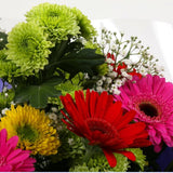 Birthday Balloon & Elegance Bouquet FlowersBirthday Balloon & Elegance Bouquet, Surprise a loved one with this gorgeous display of Germini Flowers, eye catching Daisies, Gypsophila & Chrysanthemums, with Foliage.£19.99