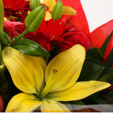 Birthday Balloon & Emporium Bouquet FlowersBirthday Balloon & Emporium Bouquet Gerberas, Roses, Oriental Lilies and Palm foliage are expertly arranged to create this dramatic design. This stunning gift is the ultimate gift to create an impression. Beautif