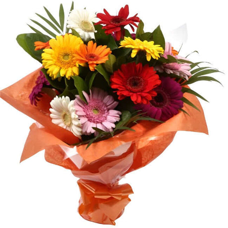 Gerbera Special Flowers BouquetThis weeks specail offer Colourful Beautiful Gerbera Bouquet great value. Beautifully gift wrapped. Beautifully wrapped and tied with ribbon before being delivered.£12.99