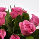 12 Beautiful Pink Roses BouquetPink Roses stylish luxury Pink Roses Bouquet. created by our florist, ready to display immediately.£14.99