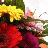 Princess Gerbera BouquetGerbera Princess Flowers Bouquet, Beautiful Colourful Gerberas and foliage are arranged to create this beautiful design stunning Bouquet gift.£12.99