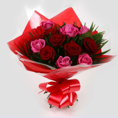 12 Blush Roses Pink & Red & Roses BouquetBlush Roses Bouquet, 12 Roses, in pretty Pink and in Red, is a classic choice, ready to be displayed instantly. Beautifully wrapped and tied with ribbon.£14.99