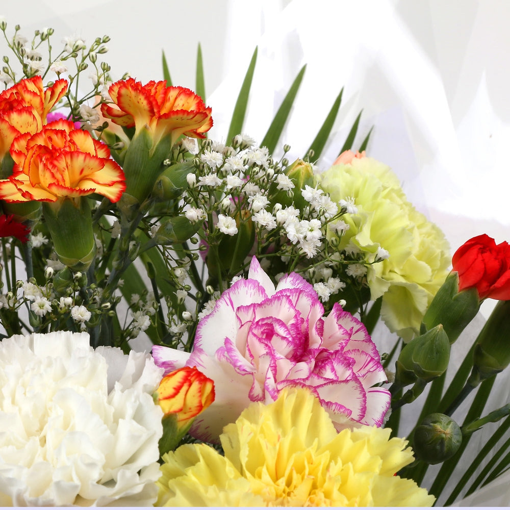 Birthday Balloon & Lollipop Star FlowersBirthday Balloon & Lollipop Star, We know how much you like this bouquet! lovely fresh Carnations contrast against the white Gypsophila, with palm leaves, a lovely Bouquet of flowers. Beautifully wrapped.£19.99