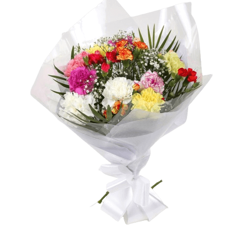 Lollipop StarLollipop Star, We know how much you like this bouquet! lovely fresh Carnations contrast against the white Gypsophila, with palm leaves, a lovely Bouquet of flowers. Colours may vary from the image shown. Beautifully wrapped.£12.99