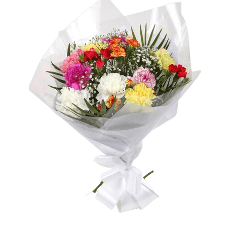 Lollipop StarLollipop Star, We know how much you like this bouquet! lovely fresh Carnations contrast against the white Gypsophila, with palm leaves, a lovely Bouquet of flowers. Colours may vary from the image shown. Beautifully wrapped.£12.99