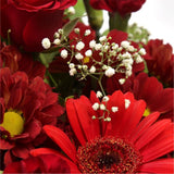 Lavish Red BouquetAdd a hint of paradise to someone's life with this vibrant Lavish Red Rose arrangement. Evoking lush Palm leaves,Gypsophila,Red Spray Dianthus, A beautiful and timeless classic. Beautifully wrapped and tied with ribbon before being deliv