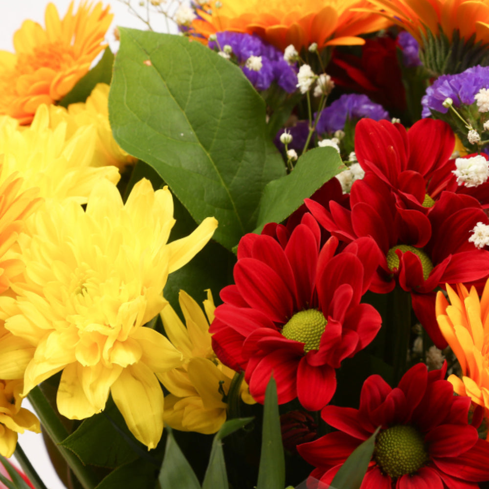 Birthday Balloon & Dazzle Star FlowersThis Beautiful Bouquet with Balloon , carefully selected flowers with foliage are expertly arranged to create this dramatic design. This stunning gift is the ultimate gift to create an impression. Beautifully wrapped