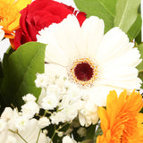 Celebration FlowersThis Beautiful Bouquet, carefully selected flowers with foliage are expertly arranged to create this dramatic design. This stunning gift is the ultimate gift to create an impression. Beautifully wrapped and tied with ribbon before being