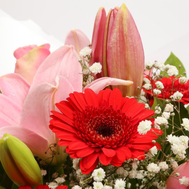 Congratulations Balloon & Pink Red Deluxe FlowersThis Beautiful Bouquet, carefully selected flowers with foliage are expertly arranged to create this dramatic design. This stunning gift is the ultimate gift to create an impression. Beautifully wrapped and