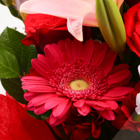 Birthday Balloon & Red & Pink Delight FlowersThis Beautiful Bouquet with Balloon , carefully selected flowers with foliage are expertly arranged to create this dramatic design. This stunning gift is the ultimate gift to create an impression. Beautifully w