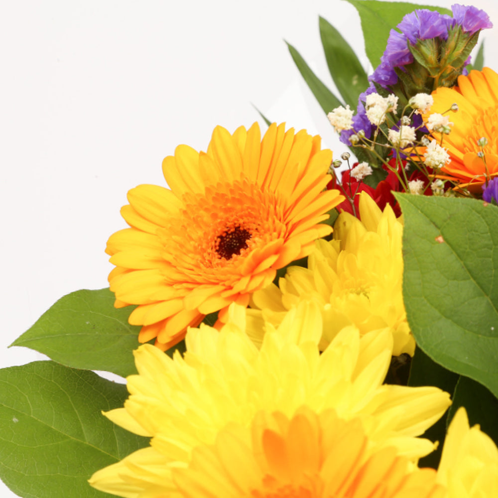 Birthday Balloon & Dazzle Star FlowersThis Beautiful Bouquet with Balloon , carefully selected flowers with foliage are expertly arranged to create this dramatic design. This stunning gift is the ultimate gift to create an impression. Beautifully wrapped