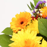 Dazzle Star BouquetThis Beautiful Bouquet, carefully selected flowers with foliage are expertly arranged to create this dramatic design. This stunning gift is the ultimate gift to create an impression. Beautifully wrapped and tied with ribbon before being