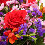 Red Blush BouquetThis Beautiful Bouquet, carefully selected flowers with foliage are expertly arranged to create this dramatic design. This stunning gift is the ultimate gift to create an impression. Beautifully wrapped and tied with ribbon before being d