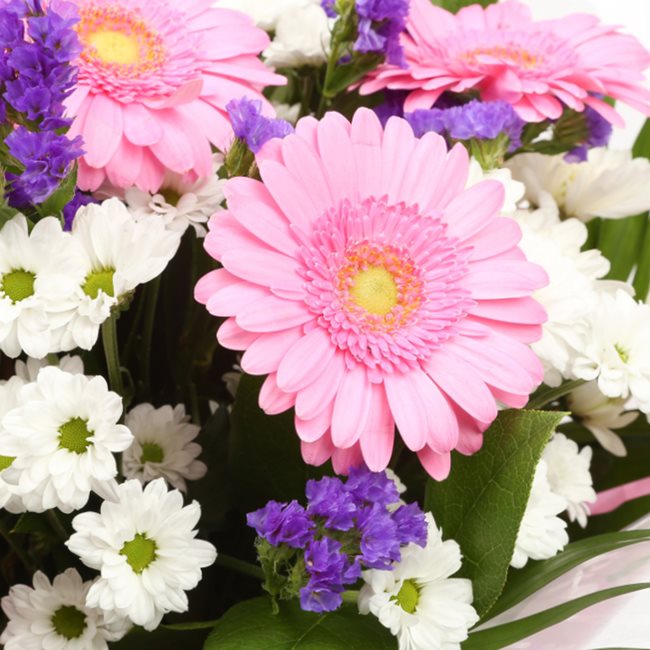 Birthday Balloon & Serenity FlowersThis Beautiful Bouquet with Balloon , carefully selected flowers with foliage are expertly arranged to create this dramatic design. This stunning gift is the ultimate gift to create an impression. Beautifully wrapped and