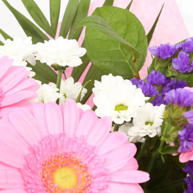 Serenity BouquetThis Beautiful Bouquet, carefully selected flowers with foliage are expertly arranged to create this dramatic design. This stunning gift is the ultimate gift to create an impression. Beautifully wrapped and tied with ribbon before being de