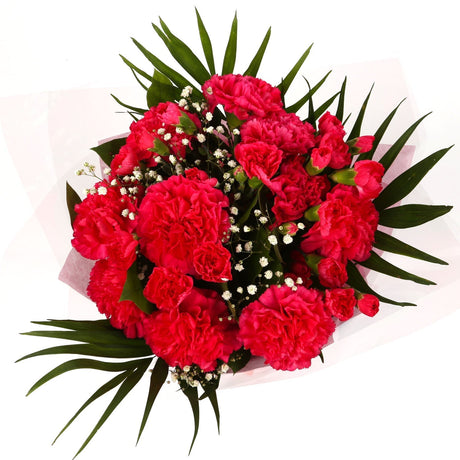 A Beautiful Red Carnations MelodyBeautiful Red Carnations Melody and foliage to create this beautifully scented bouquet. Beautifully wrapped and tied with ribbon before being delivered. A Beautiful Bouquet Hand Tied Flowers. Delivering Great Value Fresh C
