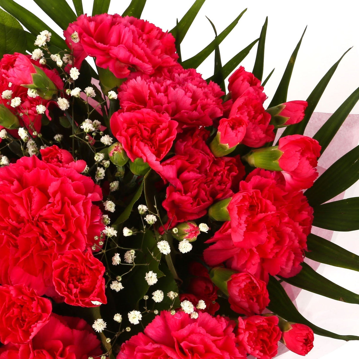A Beautiful Red Carnations MelodyBeautiful Red Carnations Melody and foliage to create this beautifully scented bouquet. Beautifully wrapped and tied with ribbon before being delivered. A Beautiful Bouquet Hand Tied Flowers. Delivering Great Value Fresh C