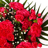 A Beautiful Red Carnations MelodyBeautiful Red Carnations Melody and foliage to create this beautifully scented bouquet. Beautifully wrapped and tied with ribbon before being delivered. A Beautiful Bouquet Hand Tied Flowers. Delivering Great Value Fresh C