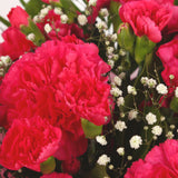 A Beautiful Red Carnations MelodyBeautiful Red Carnations Melody and foliage to create this beautifully scented bouquet. Beautifully wrapped and tied with ribbon before being delivered. A Beautiful Bouquet Hand Tied Flowers. Delivering Great Value Fresh C