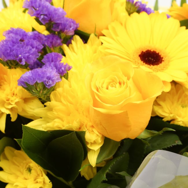 Yellow Star BouquetThis Beautiful Bouquet, carefully selected flowers with foliage are expertly arranged to create this dramatic design. This stunning gift is the ultimate gift to create an impression. Beautifully wrapped and tied with ribbon before being