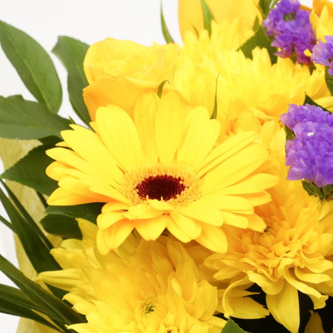 Yellow Star BouquetThis Beautiful Bouquet, carefully selected flowers with foliage are expertly arranged to create this dramatic design. This stunning gift is the ultimate gift to create an impression. Beautifully wrapped and tied with ribbon before being