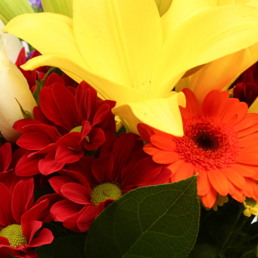 Sun Delight BouquetThis Beautiful Bouquet, carefully selected flowers with foliage are expertly arranged to create this dramatic design. This stunning gift is the ultimate gift to create an impression. Beautifully wrapped and tied with ribbon before being