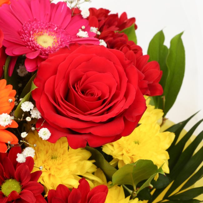 Beauty Blooms Bouquet FlowersThis Beautiful Bouquet, carefully selected flowers with foliage are expertly arranged to create this dramatic design. This stunning gift is the ultimate gift to create an impression. Beautifully wrapped and tied with ribbon be