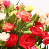 Congratulations Balloon & Multi Coloured Star FlowersThis Beautiful Bouquet, carefully selected flowers with foliage are expertly arranged to create this dramatic design. This stunning gift is the ultimate gift to create an impression. Beautifully wrapped