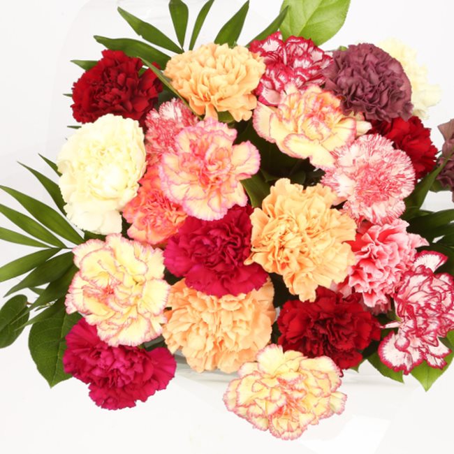 Birthday Balloon & Candy Floss Bouquet FlowersThis Beautiful Bouquet, carefully selected flowers with foliage are expertly arranged to create this dramatic design. This stunning gift is the ultimate gift to create an impression. Beautifully wrapped and ti