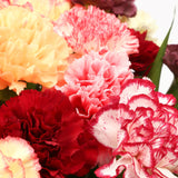 Candy Floss FlowersThis Beautiful Bouquet, carefully selected flowers with foliage are expertly arranged to create this dramatic design. This stunning gift is the ultimate gift to create an impression. Beautifully wrapped and tied with ribbon before being