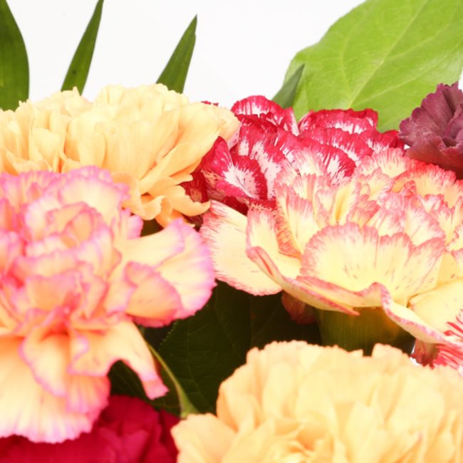 Birthday Balloon & Candy Floss Bouquet FlowersThis Beautiful Bouquet, carefully selected flowers with foliage are expertly arranged to create this dramatic design. This stunning gift is the ultimate gift to create an impression. Beautifully wrapped and ti